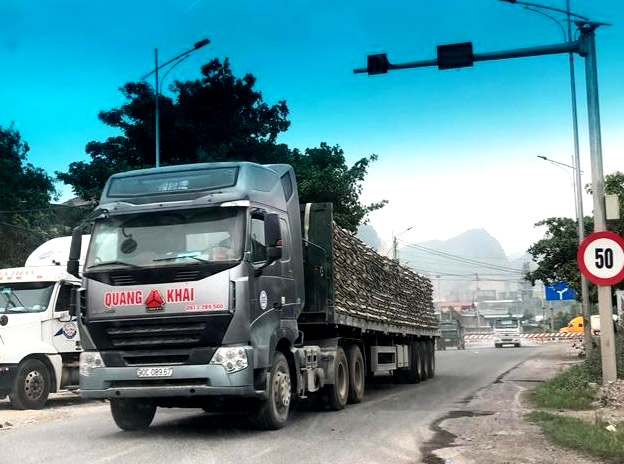 Thông tin từ đường dây nóng